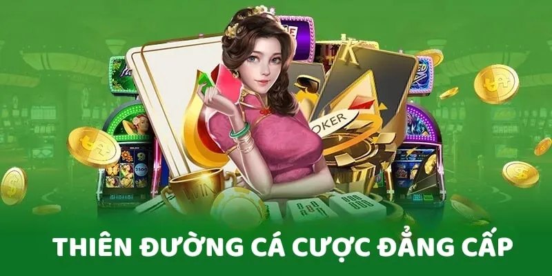 Giới thiệu tổng quan 58Win cho người chơi có thêm thông tin hữu ích