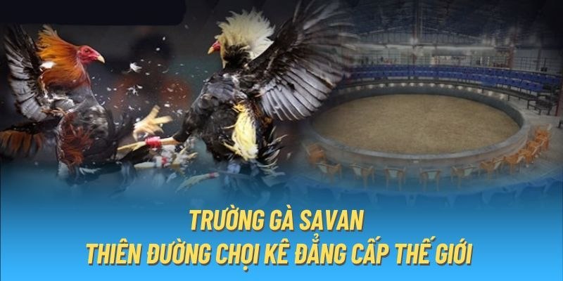 Quy định thi đấu rõ ràng và nghiêm ngặt